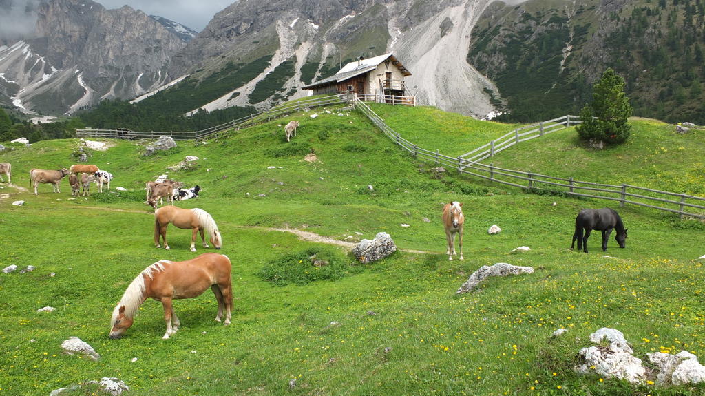 Garni Le Chalet Santa Cristina Val Gardena Luaran gambar
