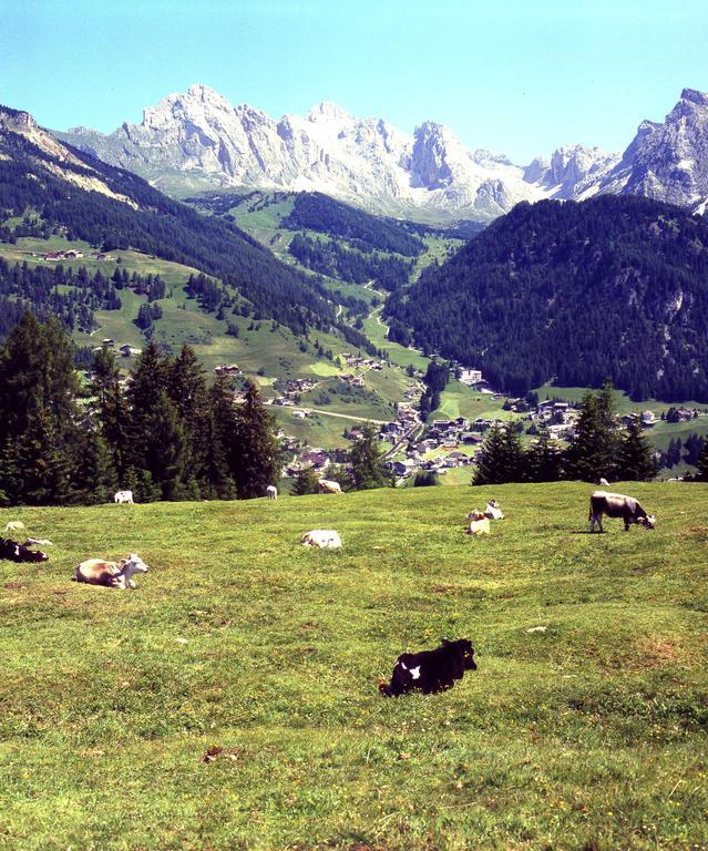 Garni Le Chalet Santa Cristina Val Gardena Luaran gambar