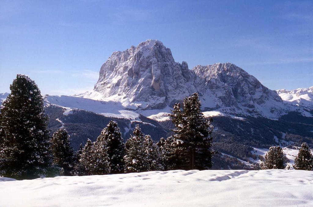 Garni Le Chalet Santa Cristina Val Gardena Luaran gambar
