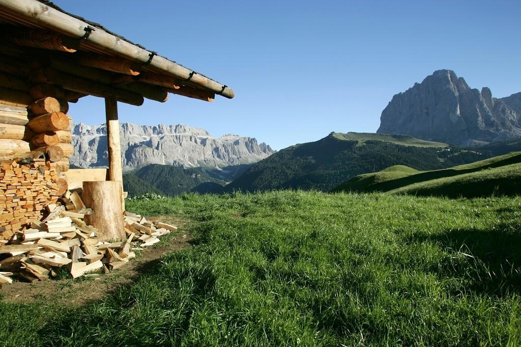 Garni Le Chalet Santa Cristina Val Gardena Luaran gambar